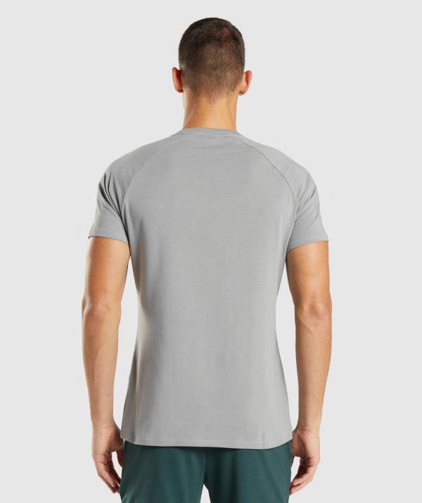 Panske Tricka Gymshark Apollo Siva | KY4789612